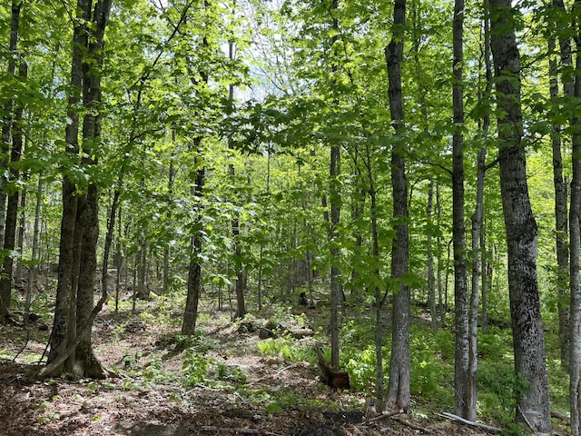 142 Palmer Rd, Thorndike, ME 04986 - view of woods