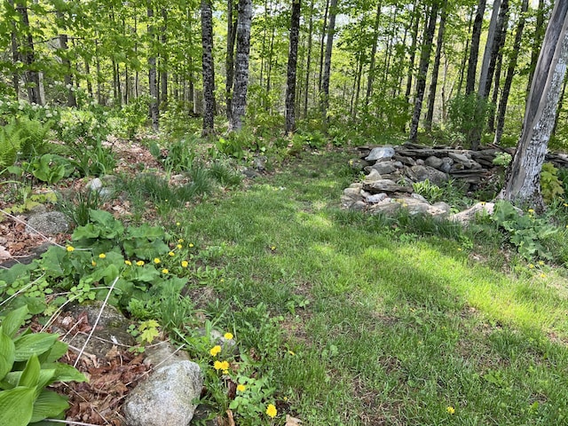 142 Palmer Rd, Thorndike, ME 04986 - view of undeveloped land