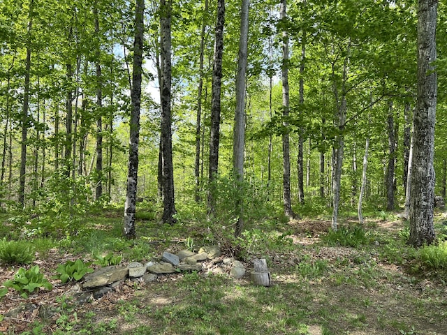 142 Palmer Rd, Thorndike, ME 04986 - view of woods