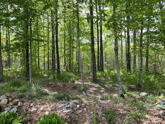 142 Palmer Rd, Thorndike, ME 04986 - view of wooded area