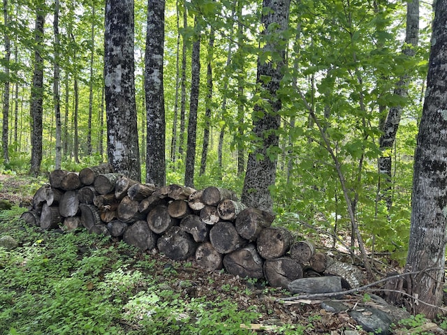 142 Palmer Rd, Thorndike, ME 04986 - view of wooded area