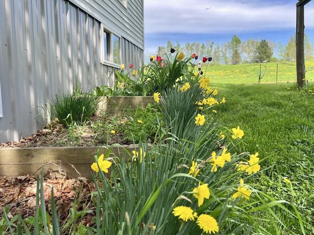142 Palmer Rd, Thorndike, ME 04986 - view of green lawn