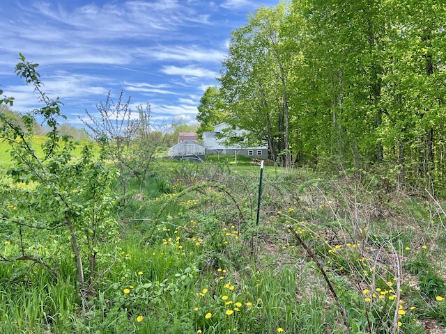 142 Palmer Rd, Thorndike, ME 04986 - view of yard