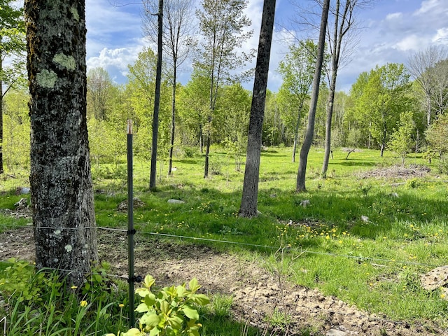 142 Palmer Rd, Thorndike, ME 04986 - view of undeveloped land