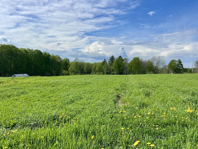 142 Palmer Rd, Thorndike, ME 04986 - view of woods with a view of rural / pastoral area