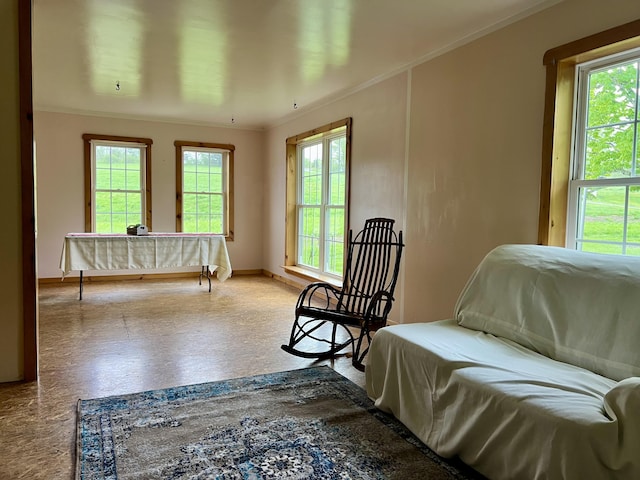 142 Palmer Rd, Thorndike, ME 04986 - sitting room featuring ornamental molding
