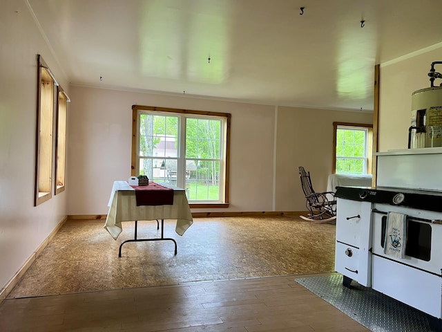 142 Palmer Rd, Thorndike, ME 04986 - office space featuring ornamental molding and wood-type flooring
