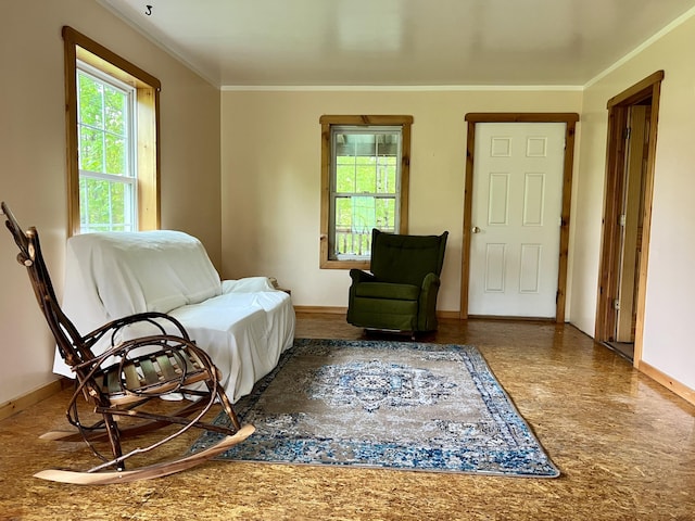 142 Palmer Rd, Thorndike, ME 04986 - living area with crown molding and baseboards