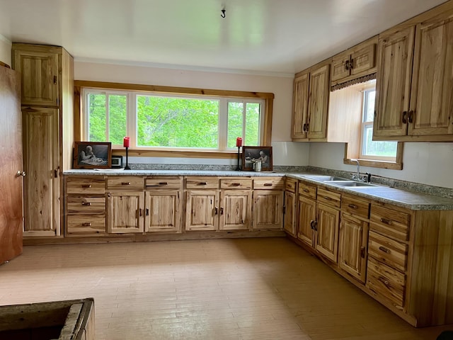 142 Palmer Rd, Thorndike, ME 04986 - kitchen with healthy amount of natural light, ornamental molding, and light wood-type flooring