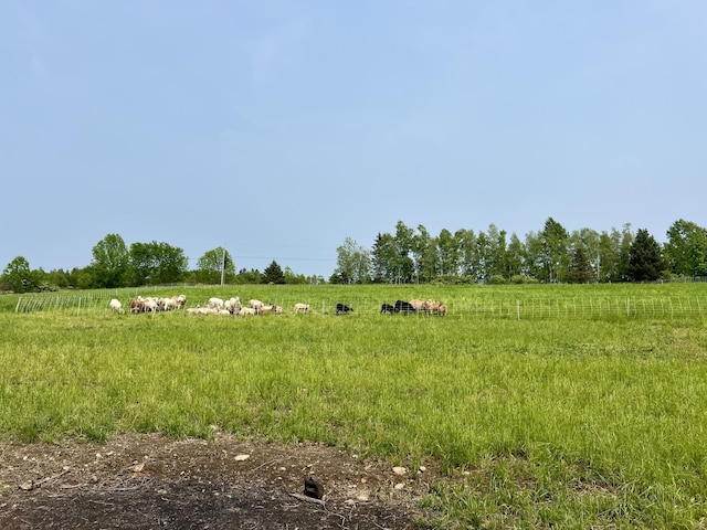 142 Palmer Rd, Thorndike, ME 04986 - view of local wilderness with rural landscape