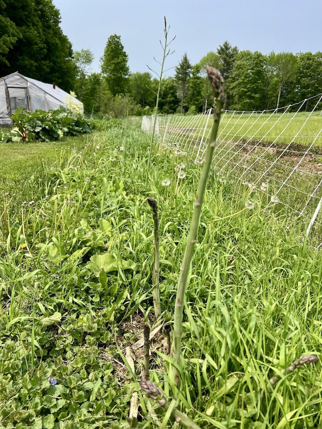 142 Palmer Rd, Thorndike, ME 04986 - view of yard featuring a rural view and agricultural plots