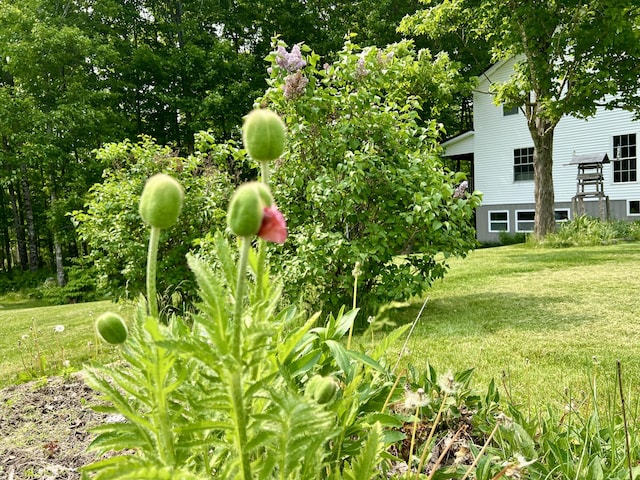 142 Palmer Rd, Thorndike, ME 04986 - exterior view