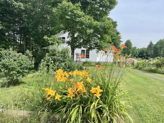 142 Palmer Rd, Thorndike, ME 04986 - view of green lawn