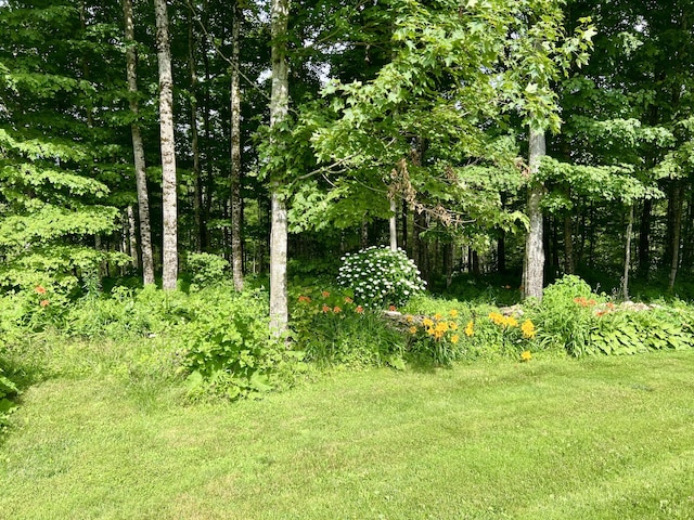142 Palmer Rd, Thorndike, ME 04986 - view of yard