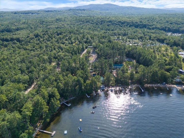 676 Sebago Rd, Sebago, ME 04029 - drone / aerial view featuring a water and mountain view and a view of trees