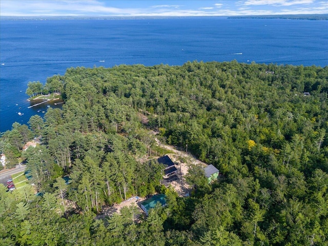 676 Sebago Rd, Sebago, ME 04029 - bird's eye view with a water view and a wooded view