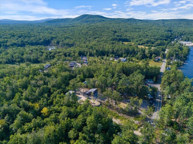 676 Sebago Rd, Sebago, ME 04029 - drone / aerial view with a view of trees and a mountain view