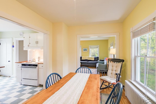 8 Park St, Camden, ME 04843 - dining room featuring radiator and healthy amount of natural light
