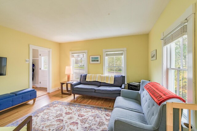 8 Park St, Camden, ME 04843 - living area with wood finished floors and baseboards