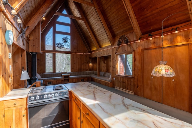 kitchen with wooden walls, beam ceiling, wooden ceiling, and black / electric stove