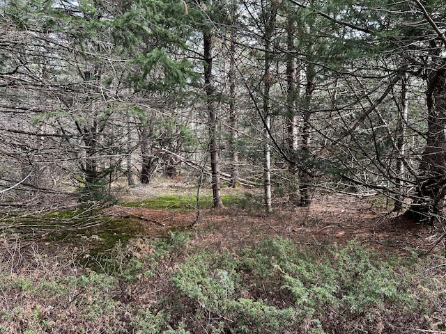 LOT69 Campground Rd, Searsport, ME 04974