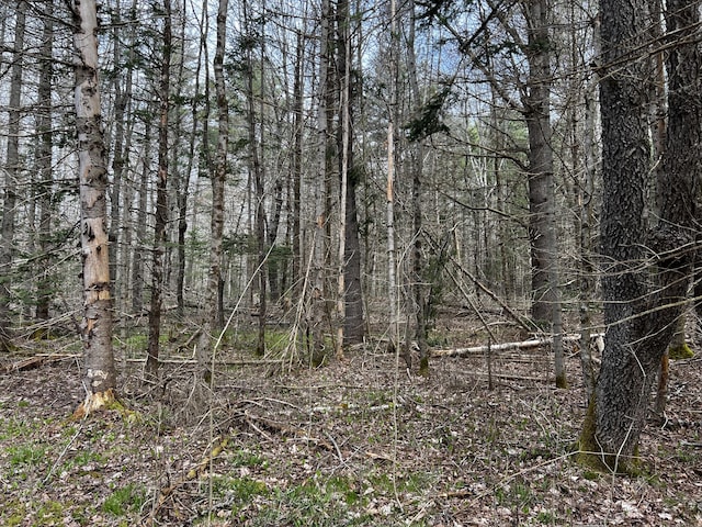 LOT69 Campground Rd, Searsport, ME 04974