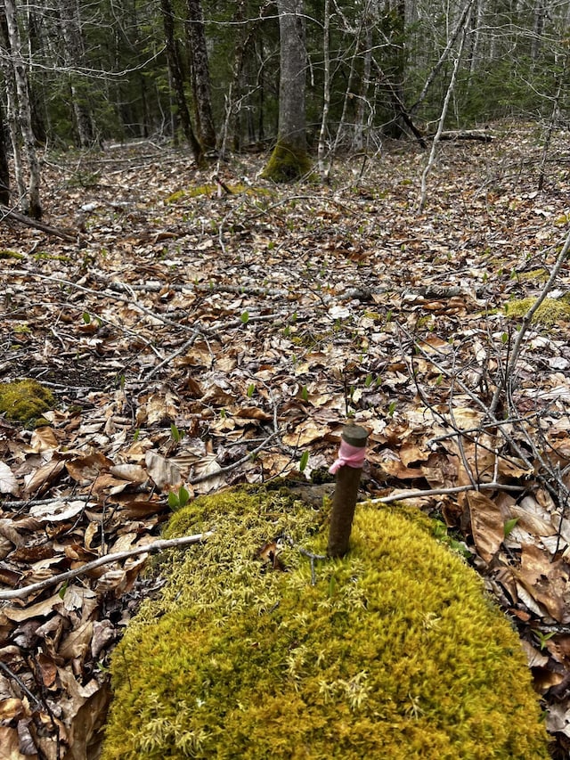LOT69 Campground Rd, Searsport, ME 04974