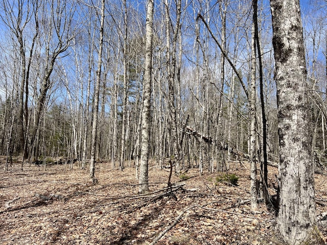 LOT69 Campground Rd, Searsport, ME 04974
