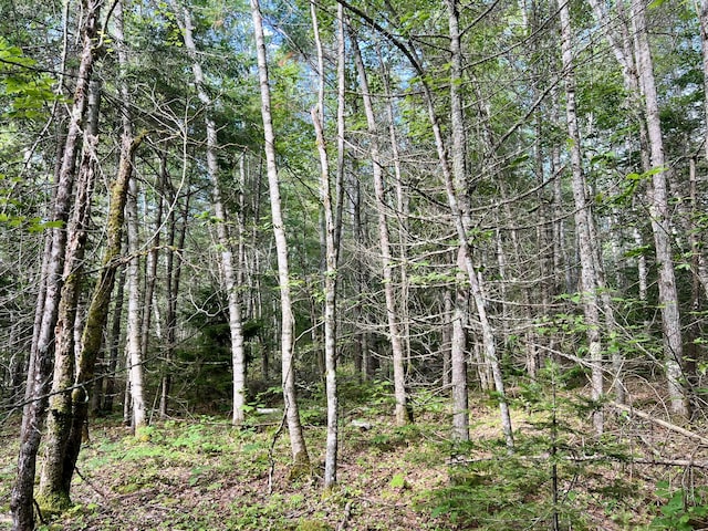 LOT69 Campground Rd, Searsport, ME 04974 - photo 22