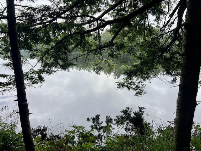LOT69 Campground Rd, Searsport, ME 04974 - photo 23