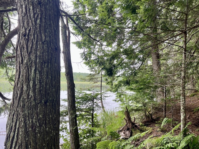 LOT69 Campground Rd, Searsport, ME 04974 - photo 24