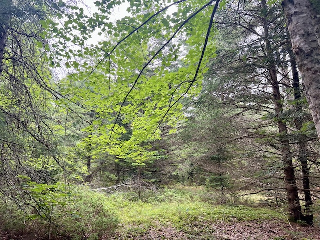LOT69 Campground Rd, Searsport, ME 04974 - photo 25