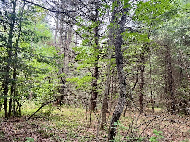 LOT69 Campground Rd, Searsport, ME 04974 - photo 26