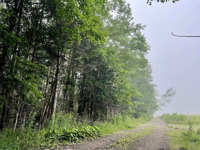 LOT69 Campground Rd, Searsport, ME 04974 - photo 27