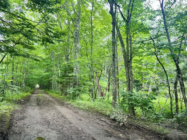 LOT69 Campground Rd, Searsport, ME 04974 - photo 28