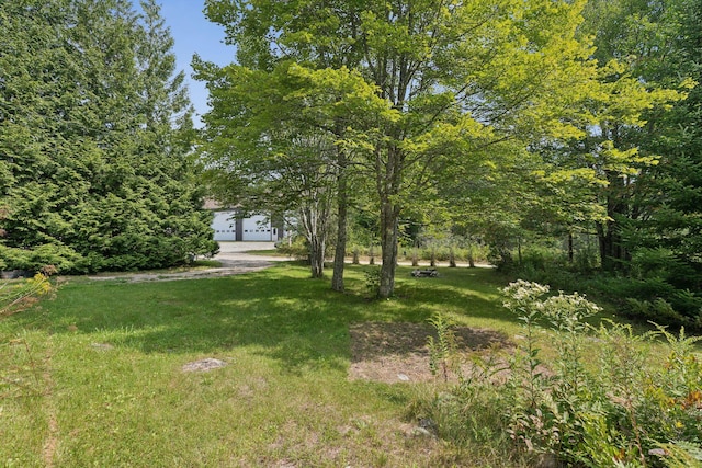 27 Rein Rd, Saint George, ME 04859 - view of yard