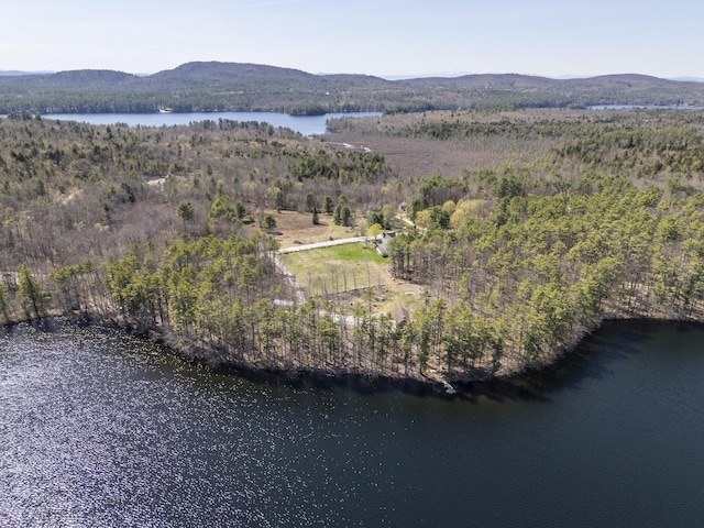 255 Raymond Hill Rd, Raymond, ME 04071 - photo 53
