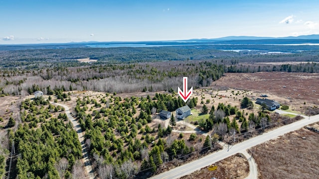 361 Sedgwick Ridge Rd, Sedgwick, ME 04676 - drone / aerial view featuring a mountain view and a wooded view