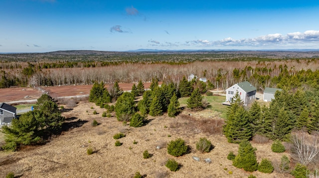 361 Sedgwick Ridge Rd, Sedgwick, ME 04676 - drone / aerial view