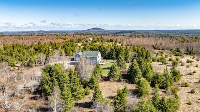 361 Sedgwick Ridge Rd, Sedgwick, ME 04676 - aerial view