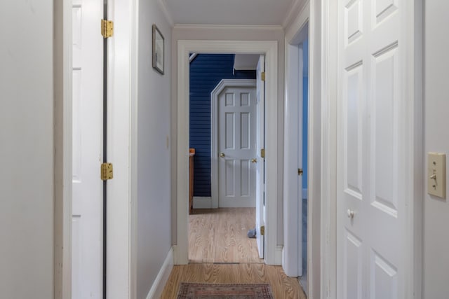 361 Sedgwick Ridge Rd, Sedgwick, ME 04676 - hall featuring light wood-style floors and ornamental molding