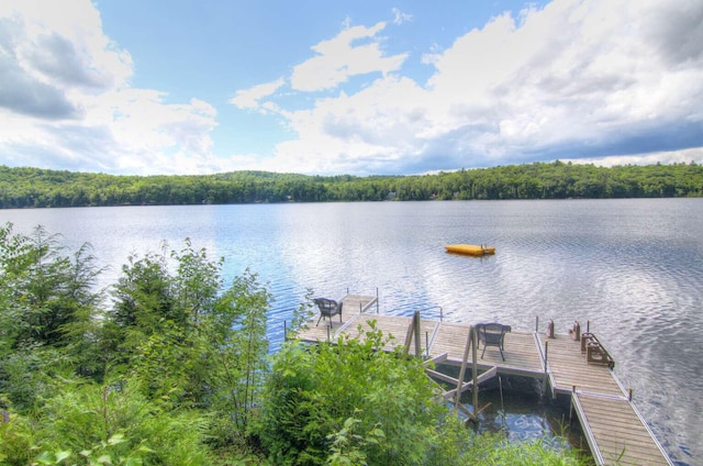 view of dock with a water view and a view of trees