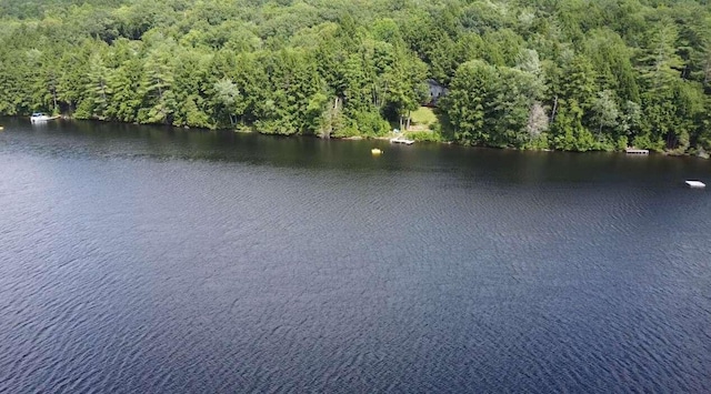 drone / aerial view with a water view and a forest view