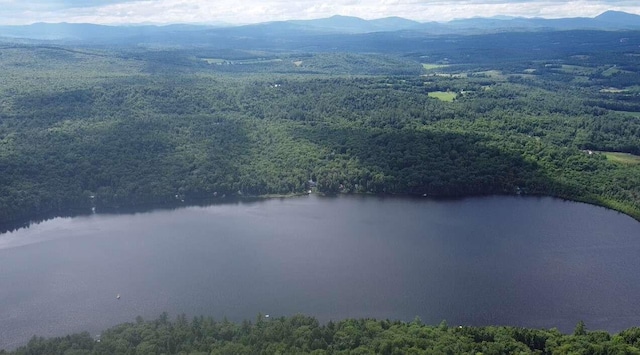 birds eye view of property featuring a view of trees and a water and mountain view