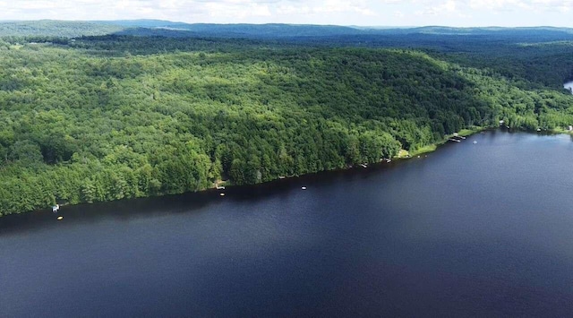 aerial view featuring a water view and a view of trees