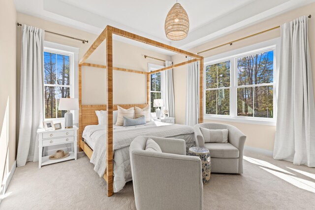 carpeted bedroom with multiple windows