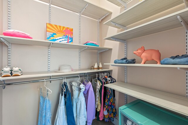 view of walk in closet
