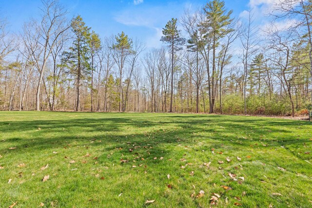 view of grassy yard featuring a wooded view