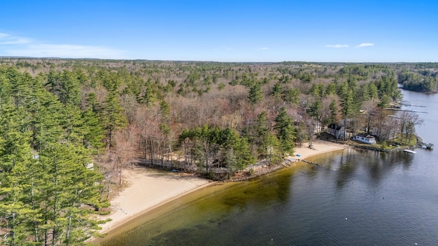 aerial view of a forest and a nearby body of water