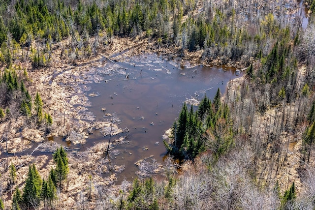 291 River Rd, Milo, ME 04463 - birds eye view of property